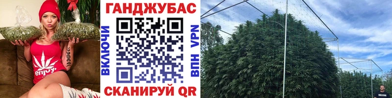Где можно купить наркотики Ярославль Канабис  Кокаин  Амфетамин  Меф  Гашиш  Галлюциногенные грибы  APVP 