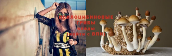 бошки Сим