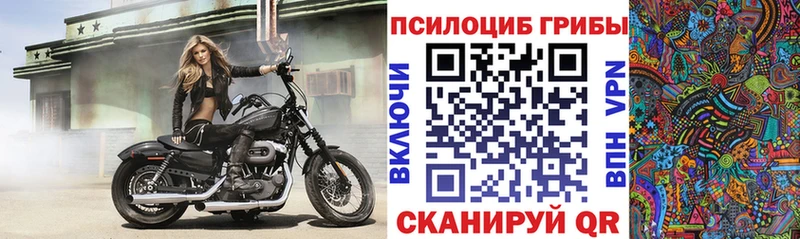 Галлюциногенные грибы мицелий  Ярославль 