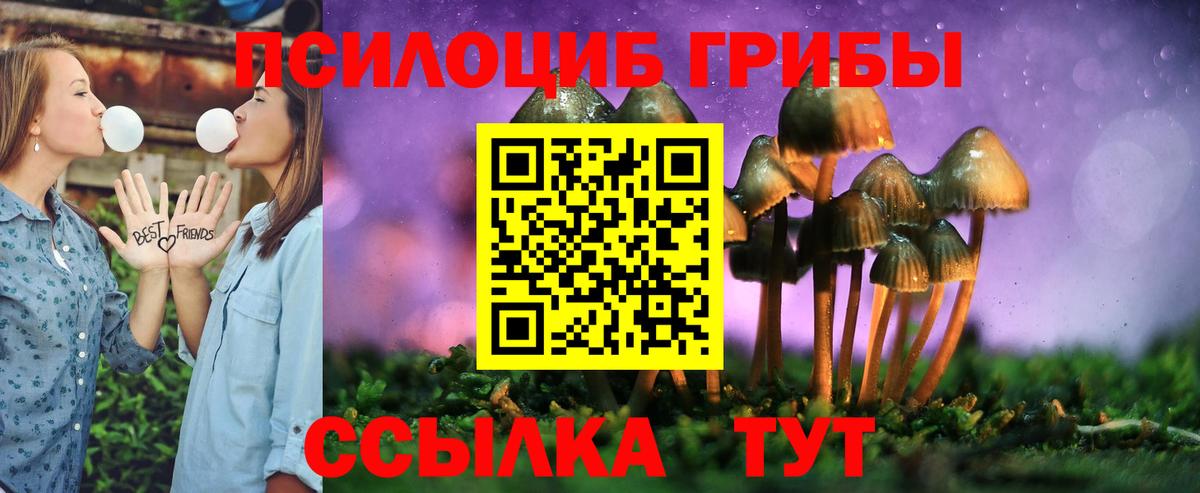 Россия  Псилоцибиновые грибы MAGIC MUSHROOMS  Вход с VPN 