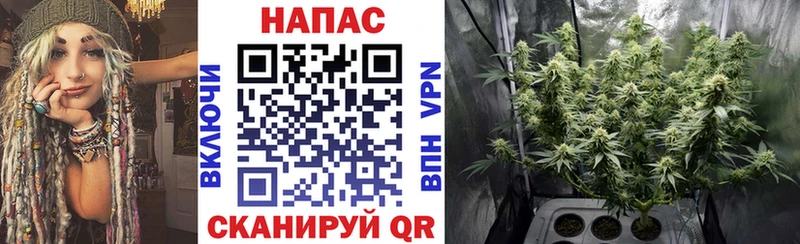 магазин продажи   Ярославль  Бошки Шишки марихуана 